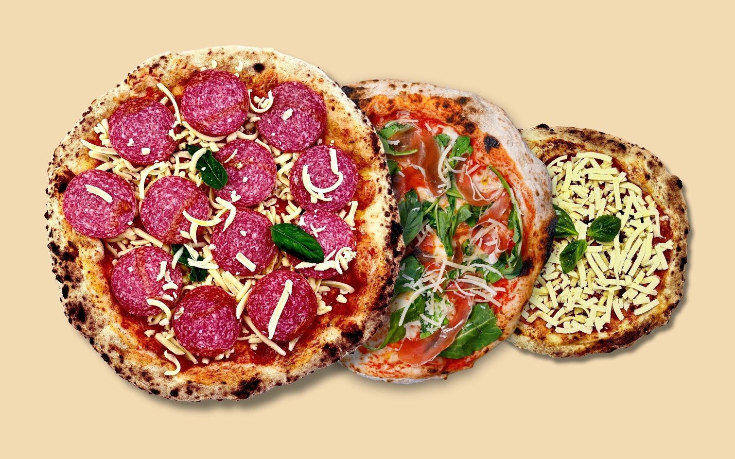 IOLA Piazza 3 tamaños ideales para HORECA y retail